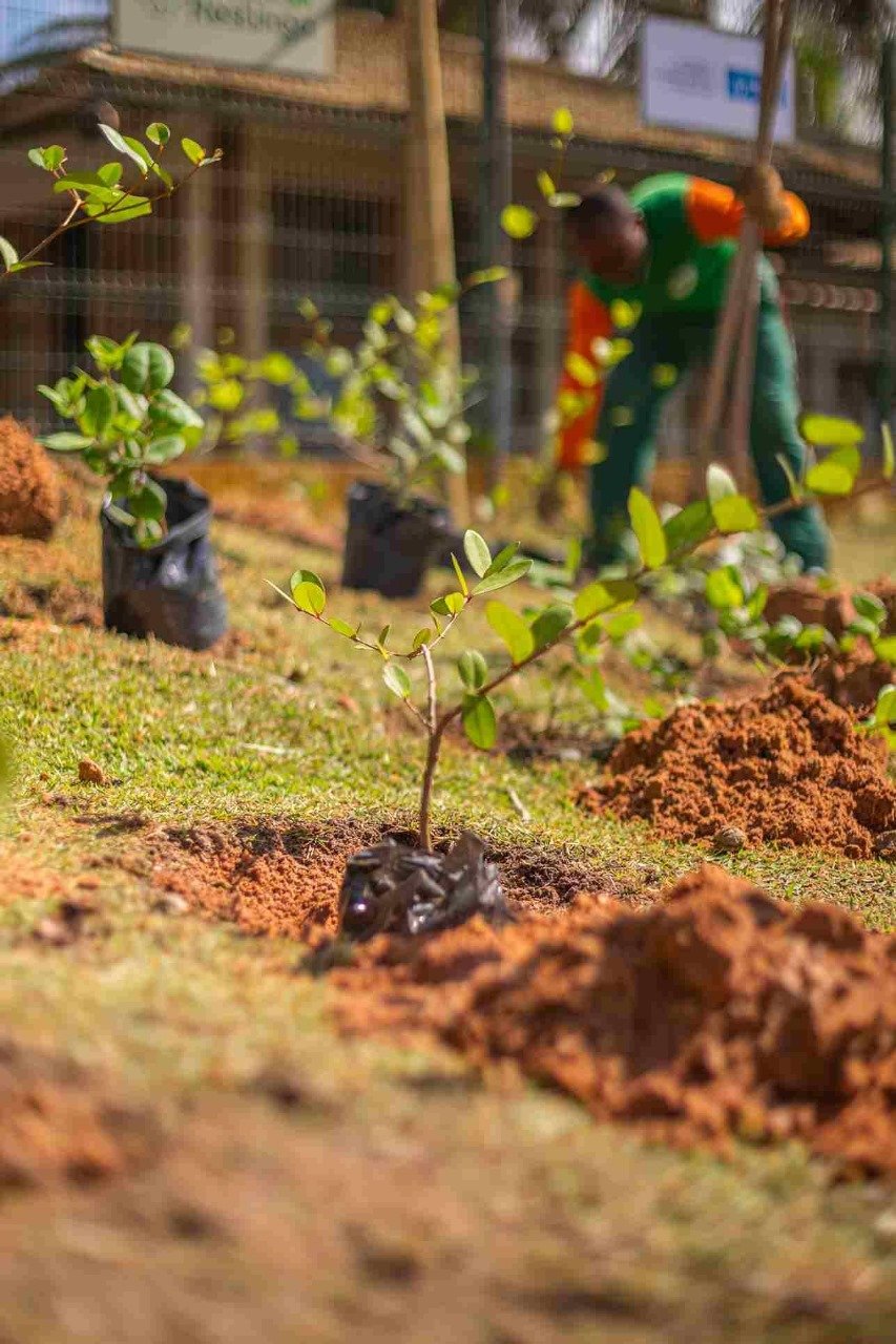Salvador alcança nota A em ranking de transparência climática e gestão ambiental
