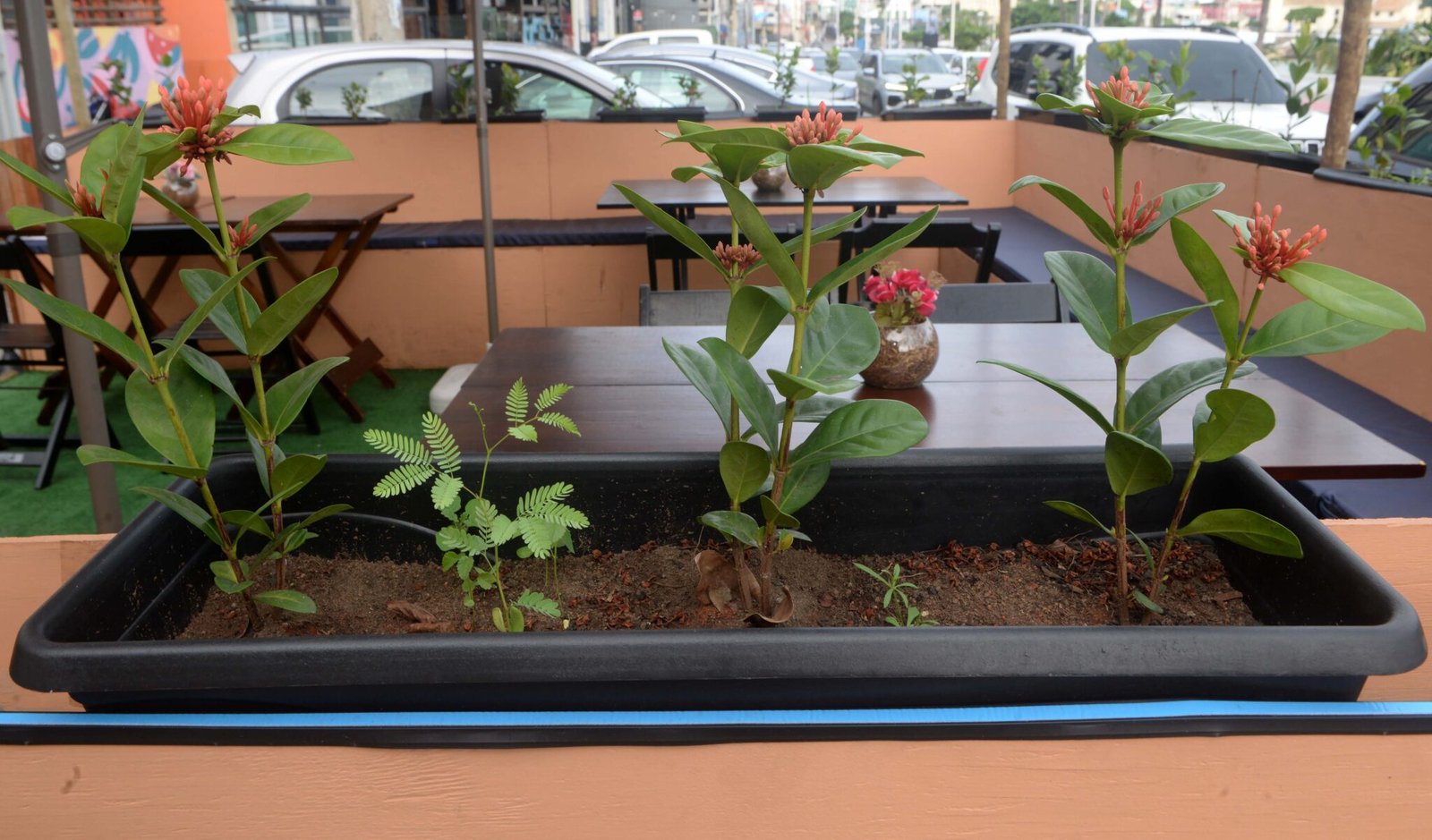 Salvador ganha novo parklet no Rio Vermelho