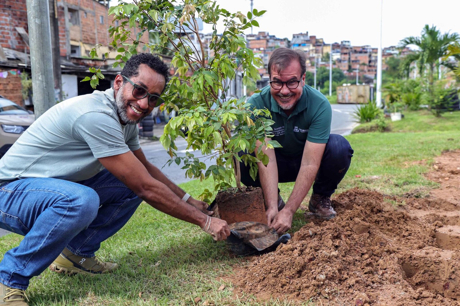 Salvador ganha primeira microfloresta urbana com mais de mil árvores nativas plantadas