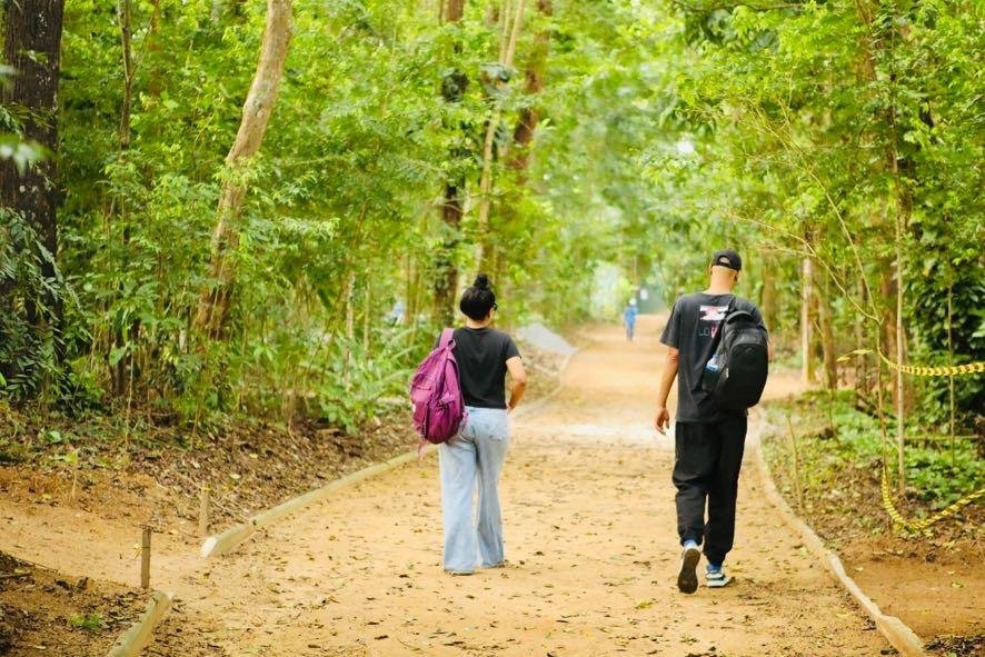 Salvador conquista reconhecimento internacional por revitalização do Jardim Botânico